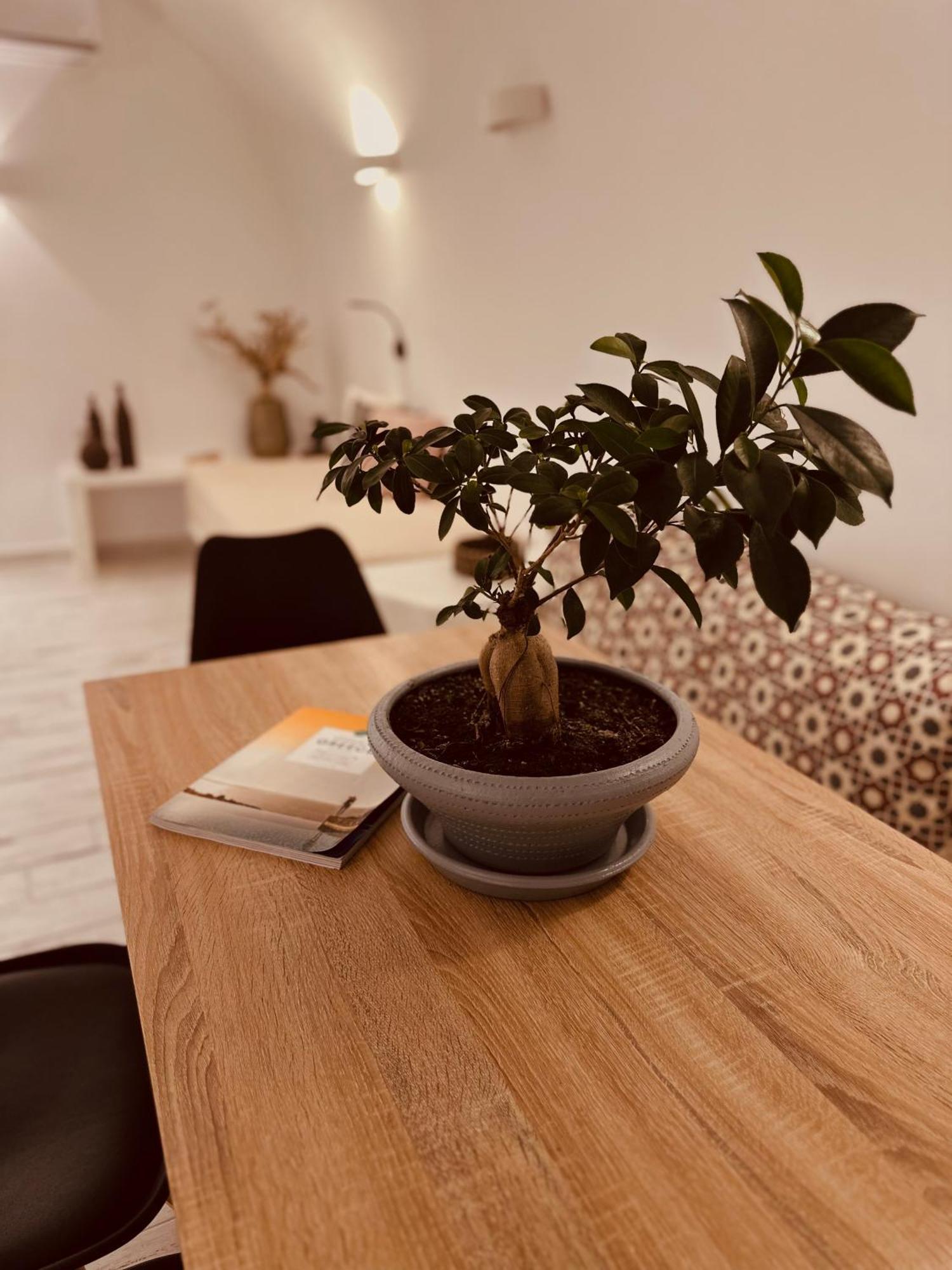Avenoir 1bedroom Luxury Cave